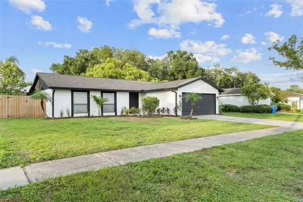 5308 Black Pine Drive, TAMPA, FL 33624
