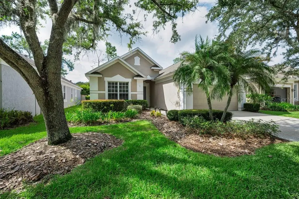 18104 Hamden Park Way, Tampa, FL 33647 - #1