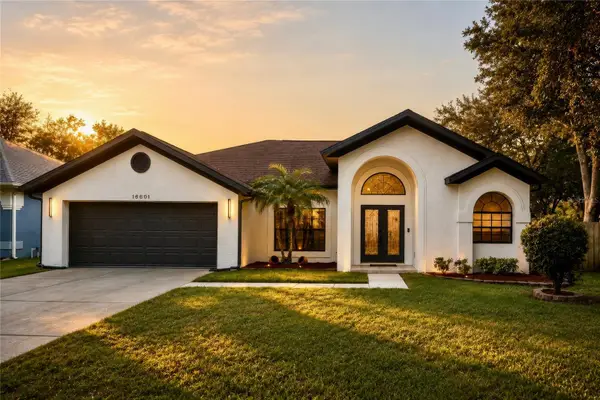 16601 Meadow Cove Street, TAMPA, FL 33624