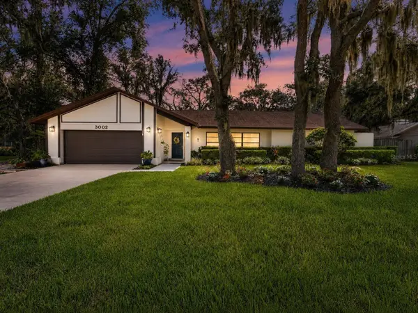 3002 Wister Circle, VALRICO, FL 33596