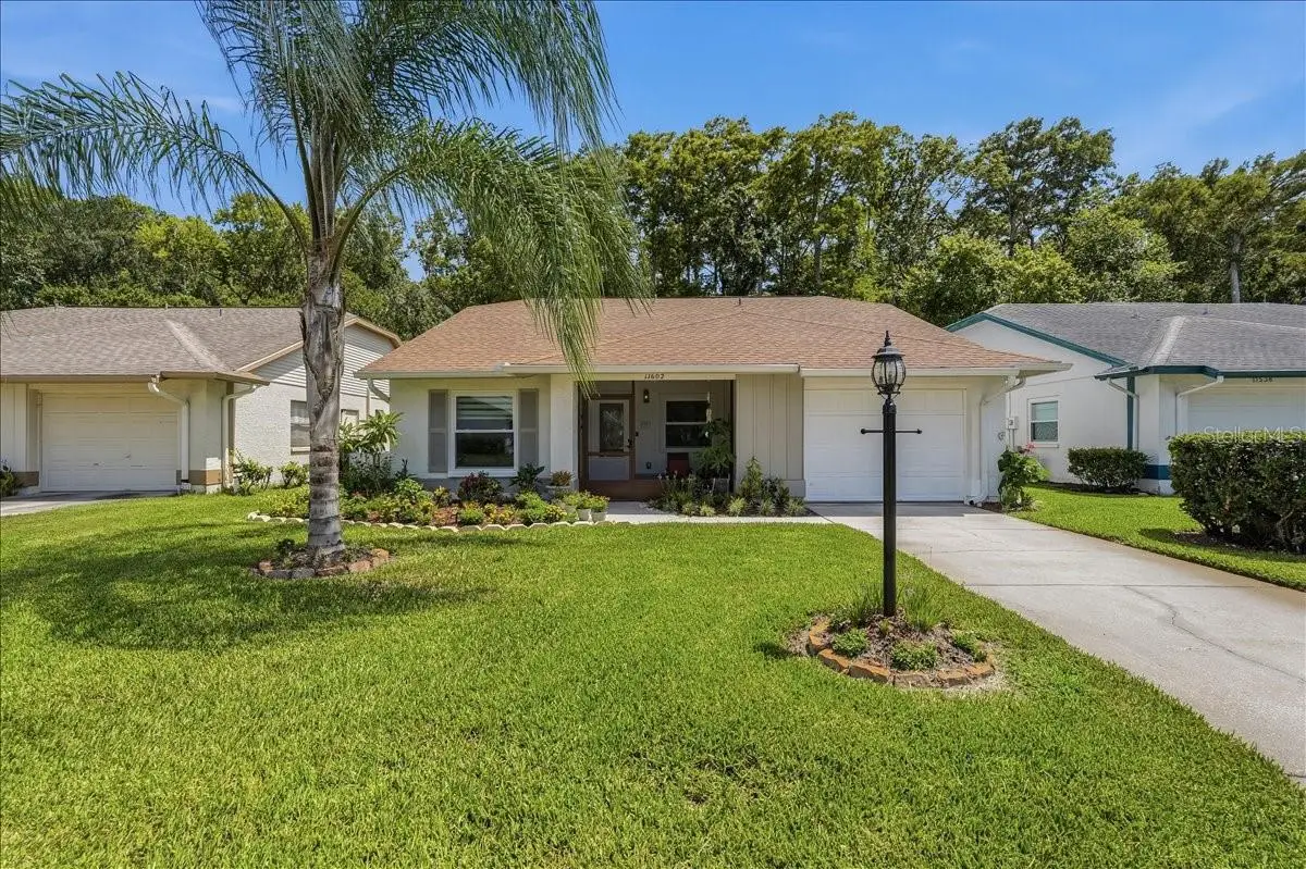 11602 White Ash Drive, New Port Richey, FL 34654 - #1
