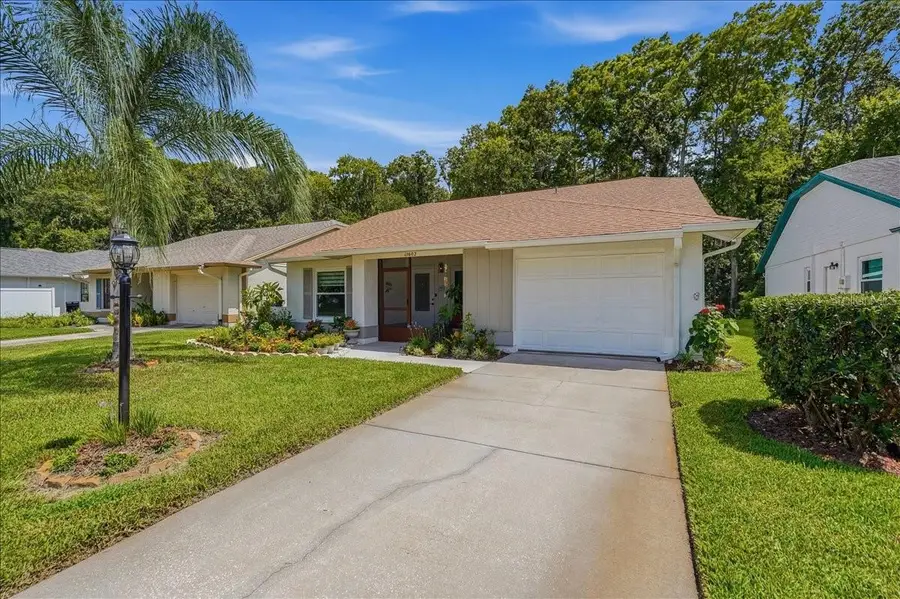 11602 White Ash Drive, New Port Richey, FL 34654 - #2