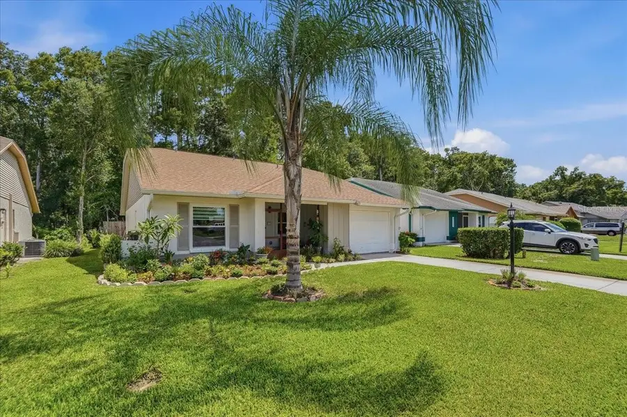 11602 White Ash Drive, New Port Richey, FL 34654 - #3