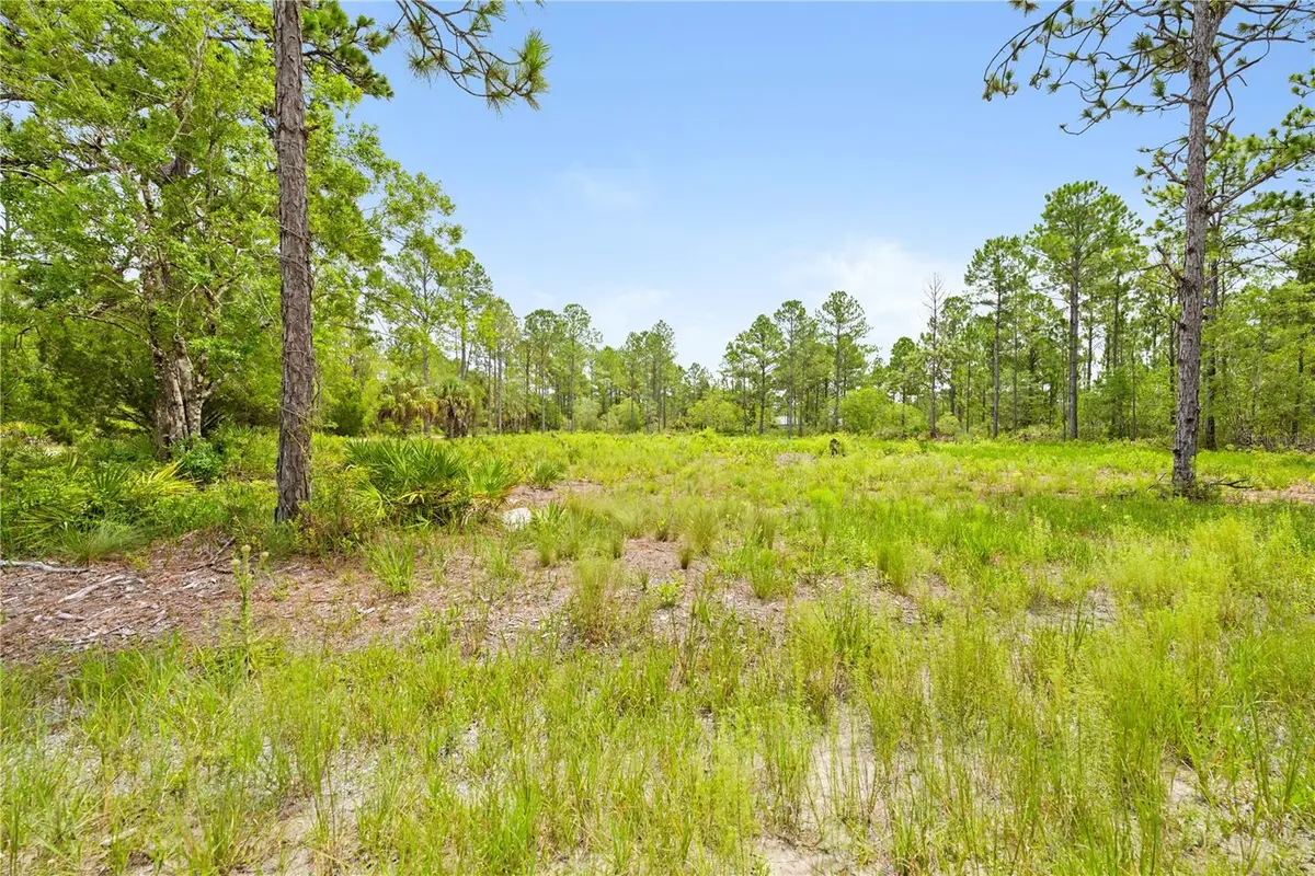 10052 Yellowbird Avenue, Weeki Wachee, FL 34614 - #1