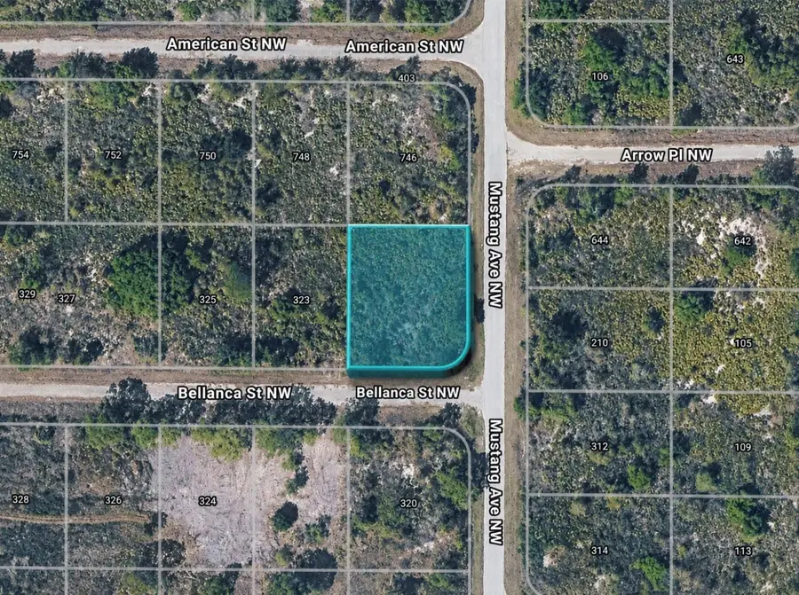 321 Bellanca Street Nw, Lake Placid, FL 33852 - #2