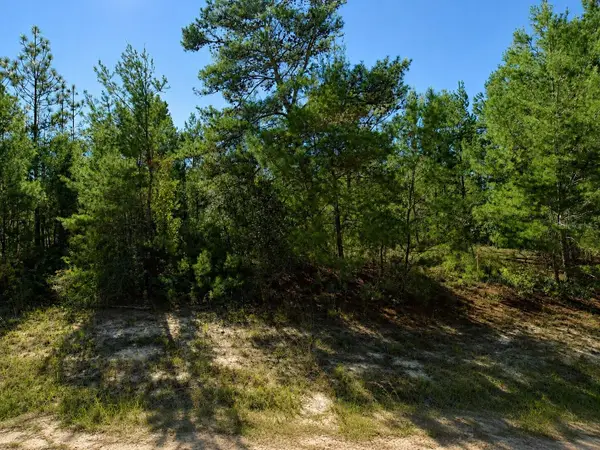 Alladin Drive, CHIPLEY, FL 32428
