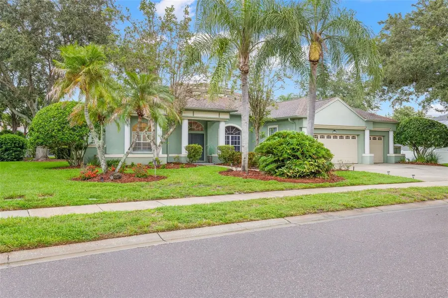 5501 Stag Thicket Lane, Palm Harbor, FL 34685 - #2