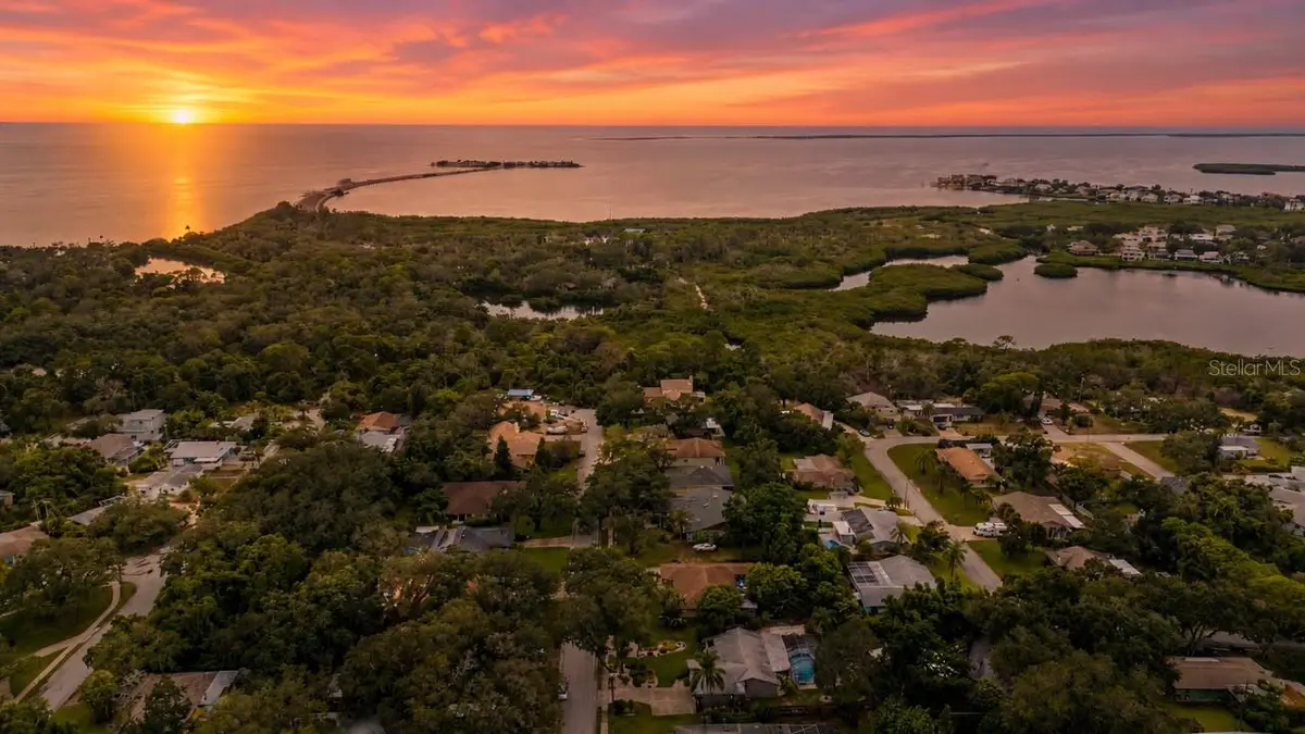 1706 Avoca Drive, Tarpon Springs, FL 34689 - #1
