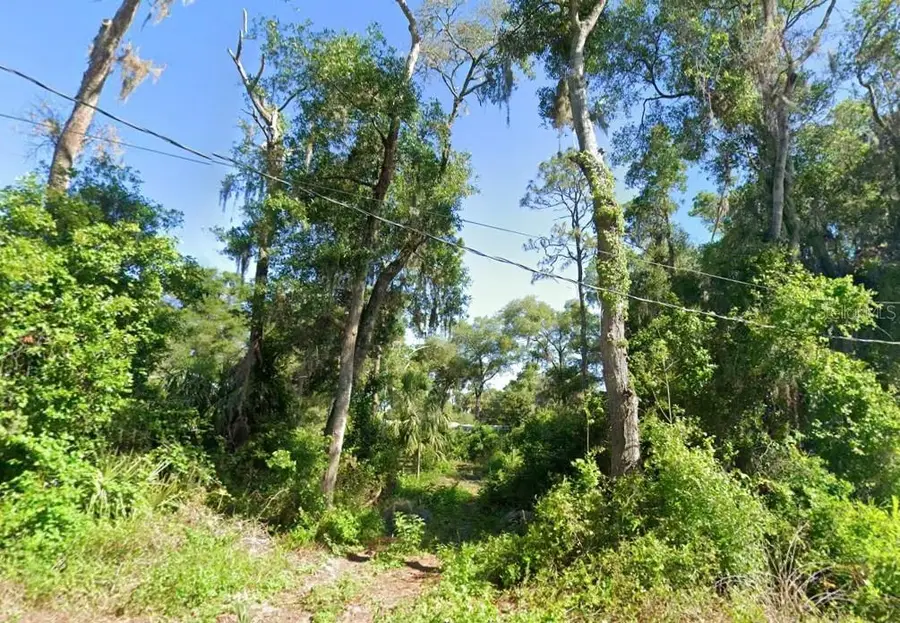 4523 E Harvard Drive, Hernando, FL 34442 - #2