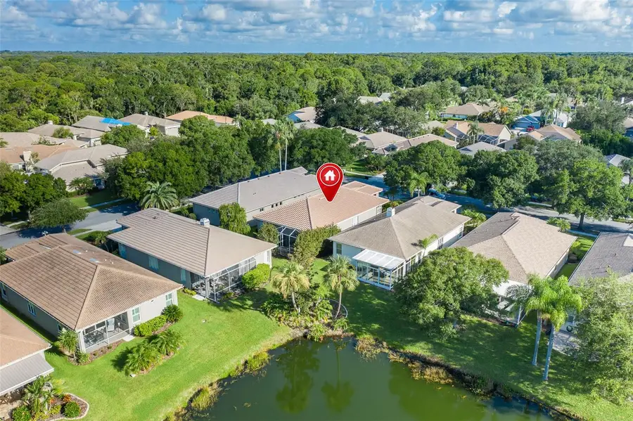 4770 Pebble Brook Drive, Oldsmar, FL 34677 - #3