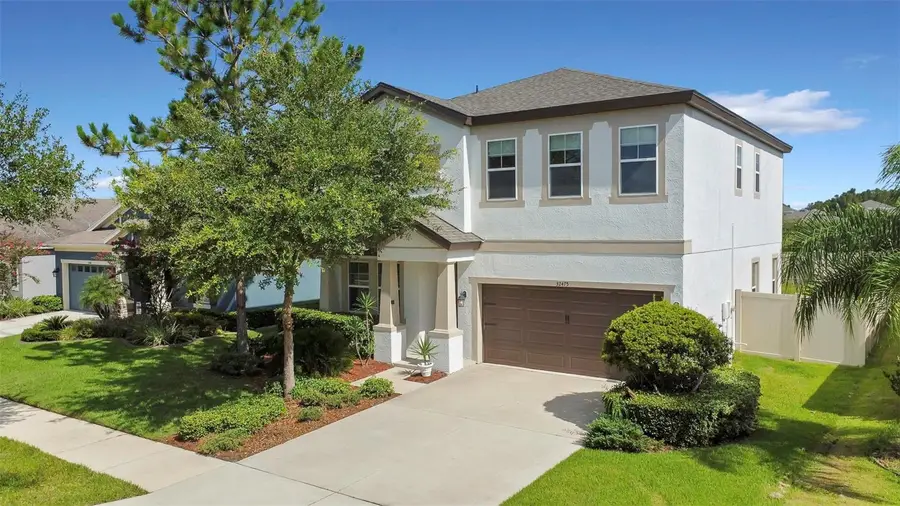 32475 Natural Bridge Road, Wesley Chapel, FL 33543 - #2