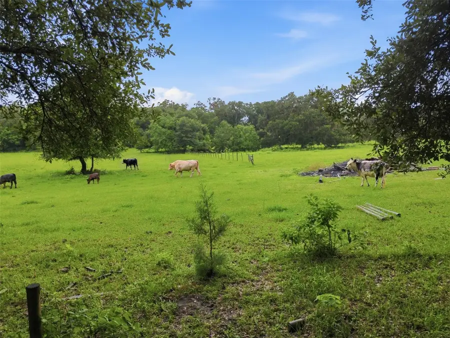 9299 Weatherly Road, Brooksville, FL 34601 - #3