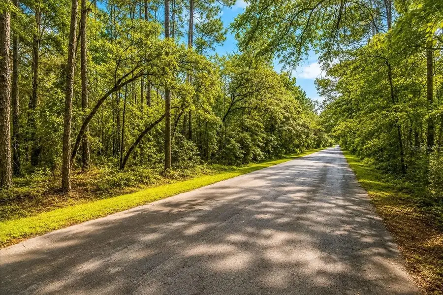 000 SW 34th Street, Dunnellon, FL 34432 - #3