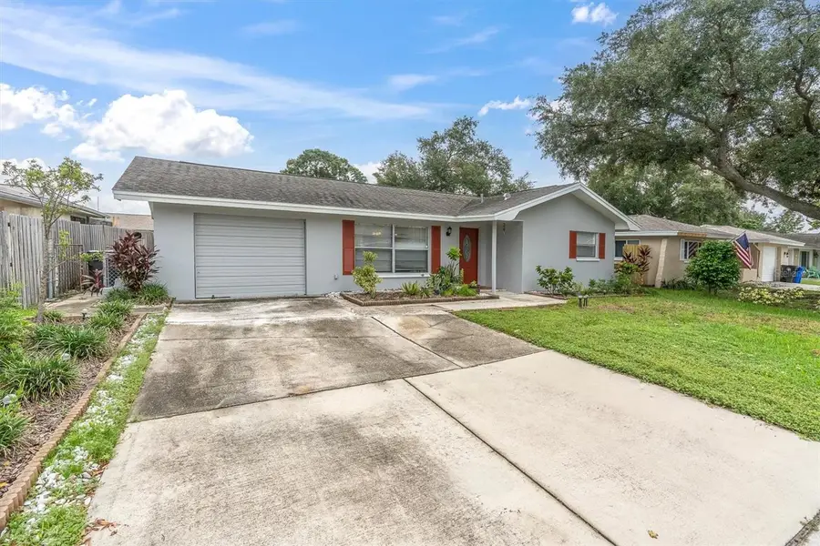 707 Lemonwood Drive, Oldsmar, FL 34677 - #2