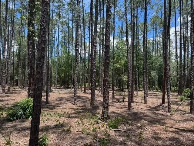 18517 Livingston Avenue, Lutz, FL 33559 - #1