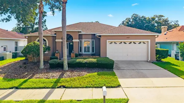 2407 Dana Drive, SAFETY HARBOR, FL 34695