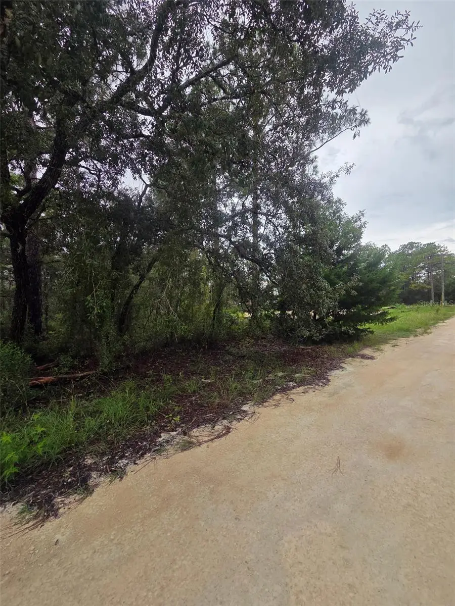 15326 Mottled Owl Road, Weeki Wachee, FL 34614 - #2