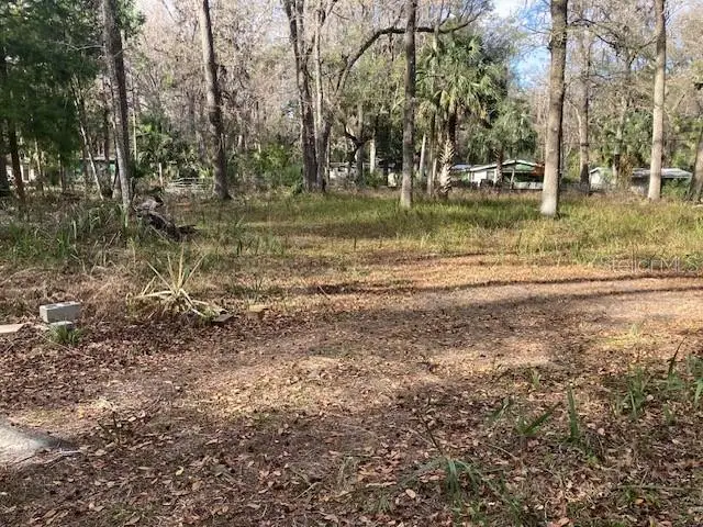 2456 N Jungle Camp Road #1, Inverness, FL 34453 - #1