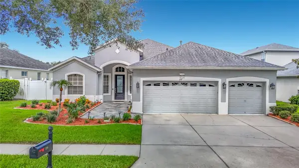 220 Ronja Lane, VALRICO, FL 33594