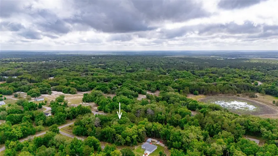 15 Magnolia Drive, Ocklawaha, FL 32179 - #2