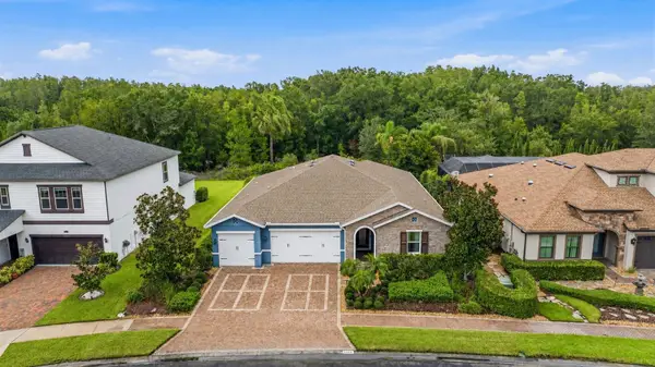 31321 Driscoll Drive, WESLEY CHAPEL, FL 33543