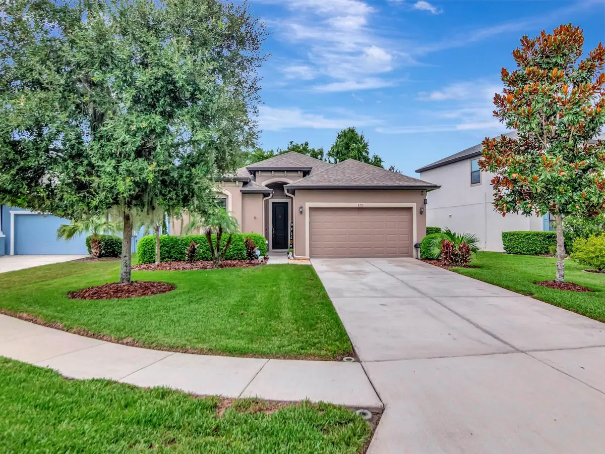 8213 Summer Brook Court, Land O Lakes, FL 34638 - #1