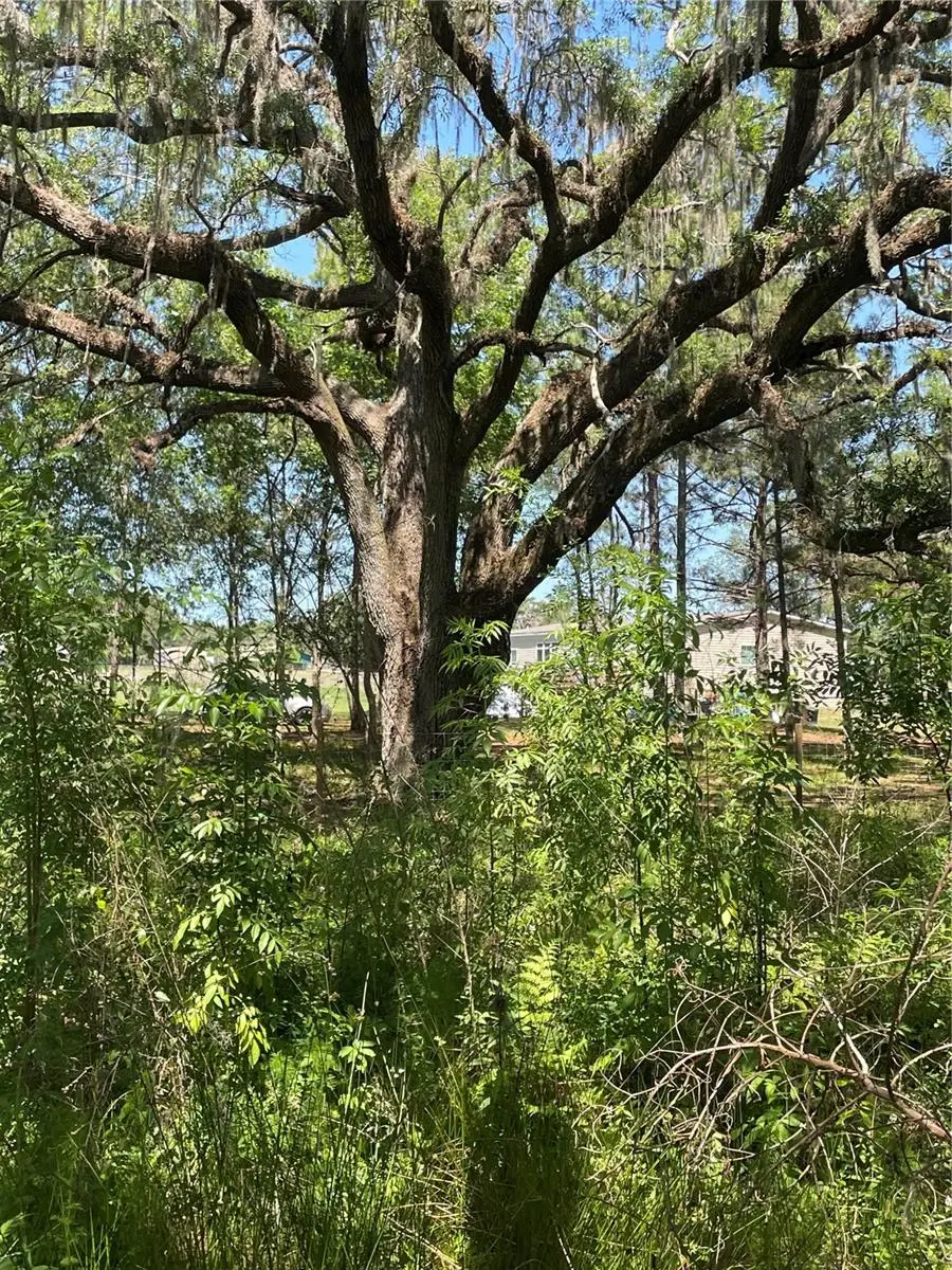 0 Wise Owl Road, Brooksville, FL 34602 - #3