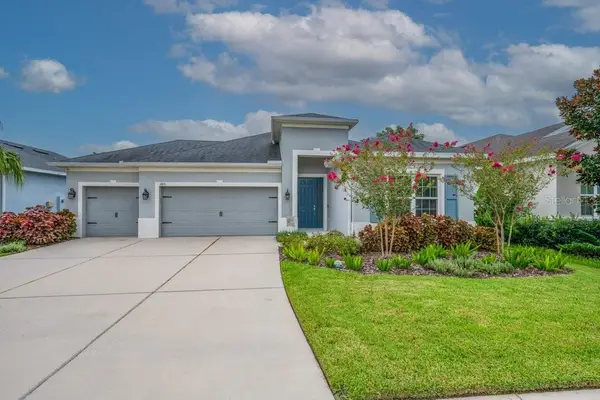 17651 Bright Wheat Drive, LITHIA, FL 33547