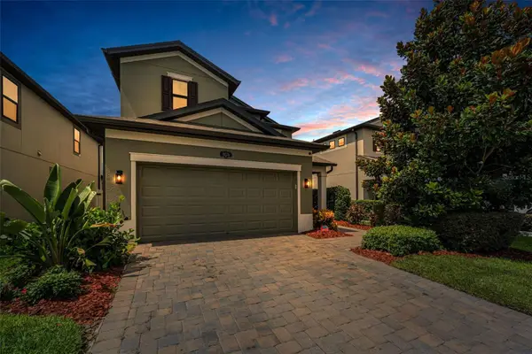 19576 Breynia Drive, LUTZ, FL 33558