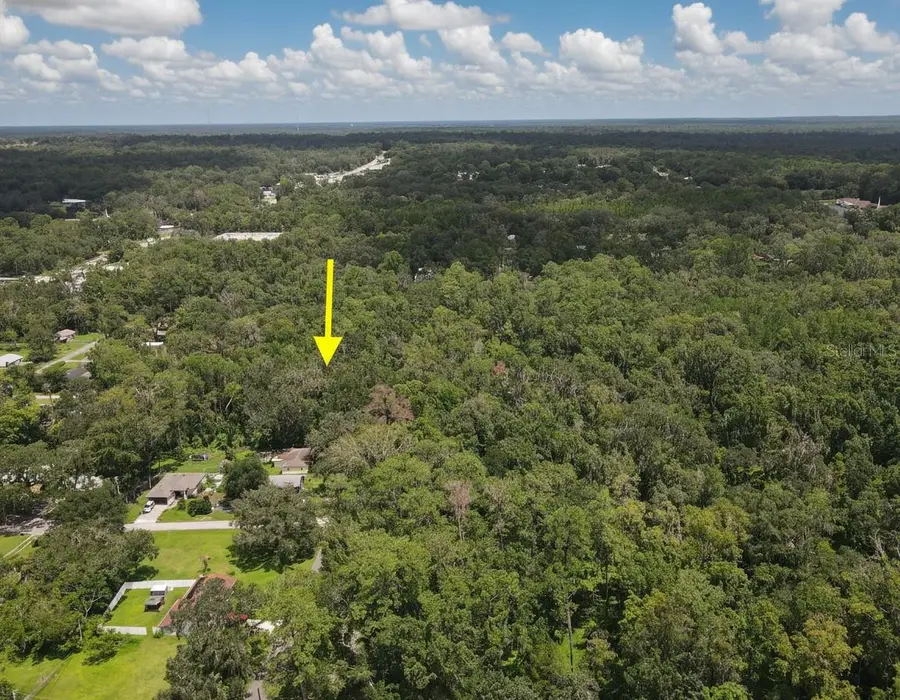 Stafford Avenue, Brooksville, FL 34601 - #3