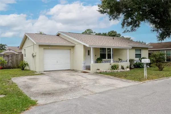 10118 Hunters Point Court, TAMPA, FL 33615