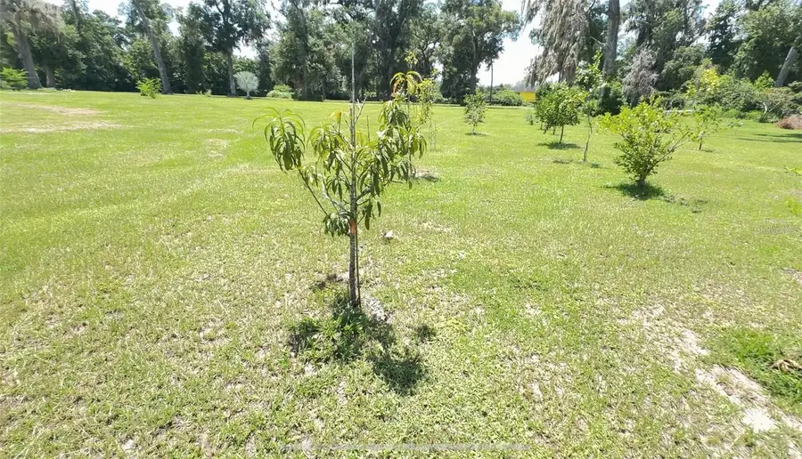0 N Us Highway 441, Ocala, FL 34475 - #3