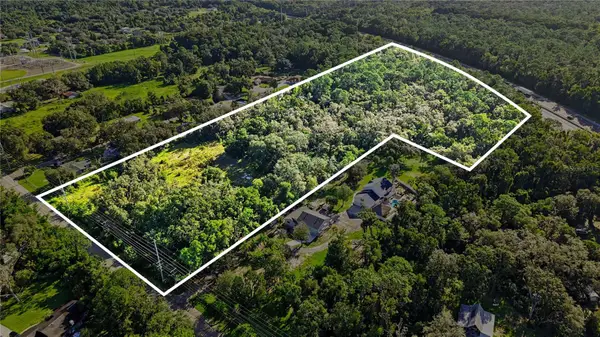 Livingston Ave, LUTZ, FL 33559