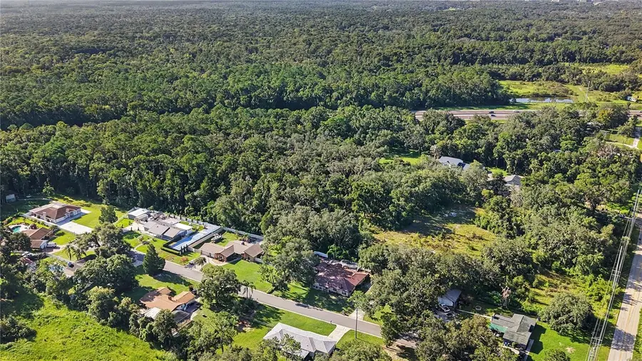 Livingston Ave, Lutz, FL 33559 - #2