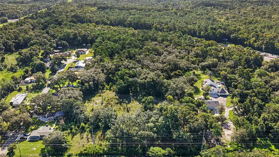 Livingston Ave, Lutz, FL 33559 - #3