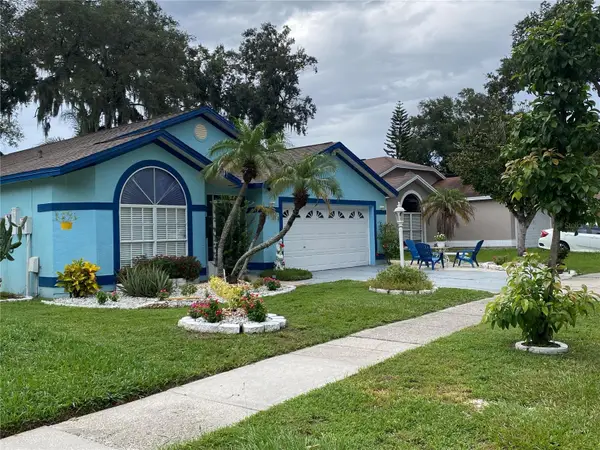 1420 Windjammer Place, VALRICO, FL 33594