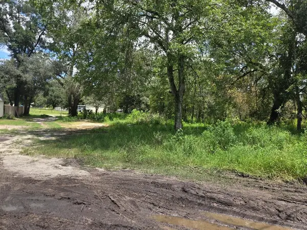 39249 Lizabeth Circle, ZEPHYRHILLS, FL 33542