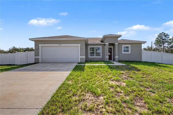 17199 SW 43rd Court, OCALA, FL 34473