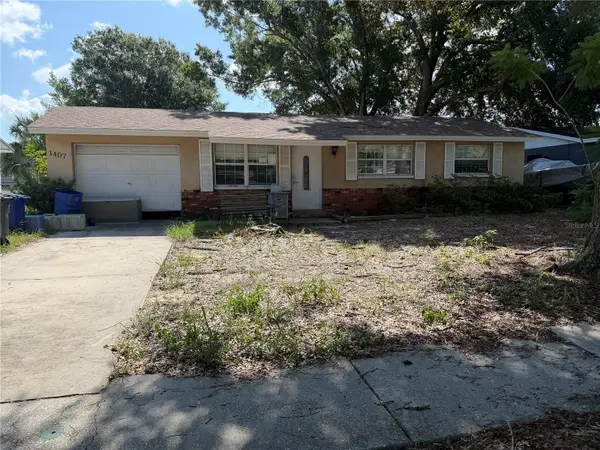 1407 Coppertree Drive, TARPON SPRINGS, FL 34689