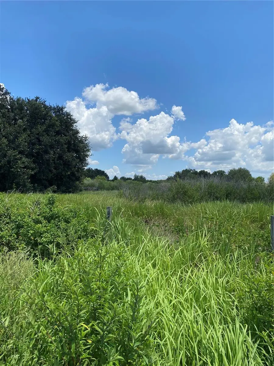 12532 Andrews Road, Wimauma, FL 33598 - #2