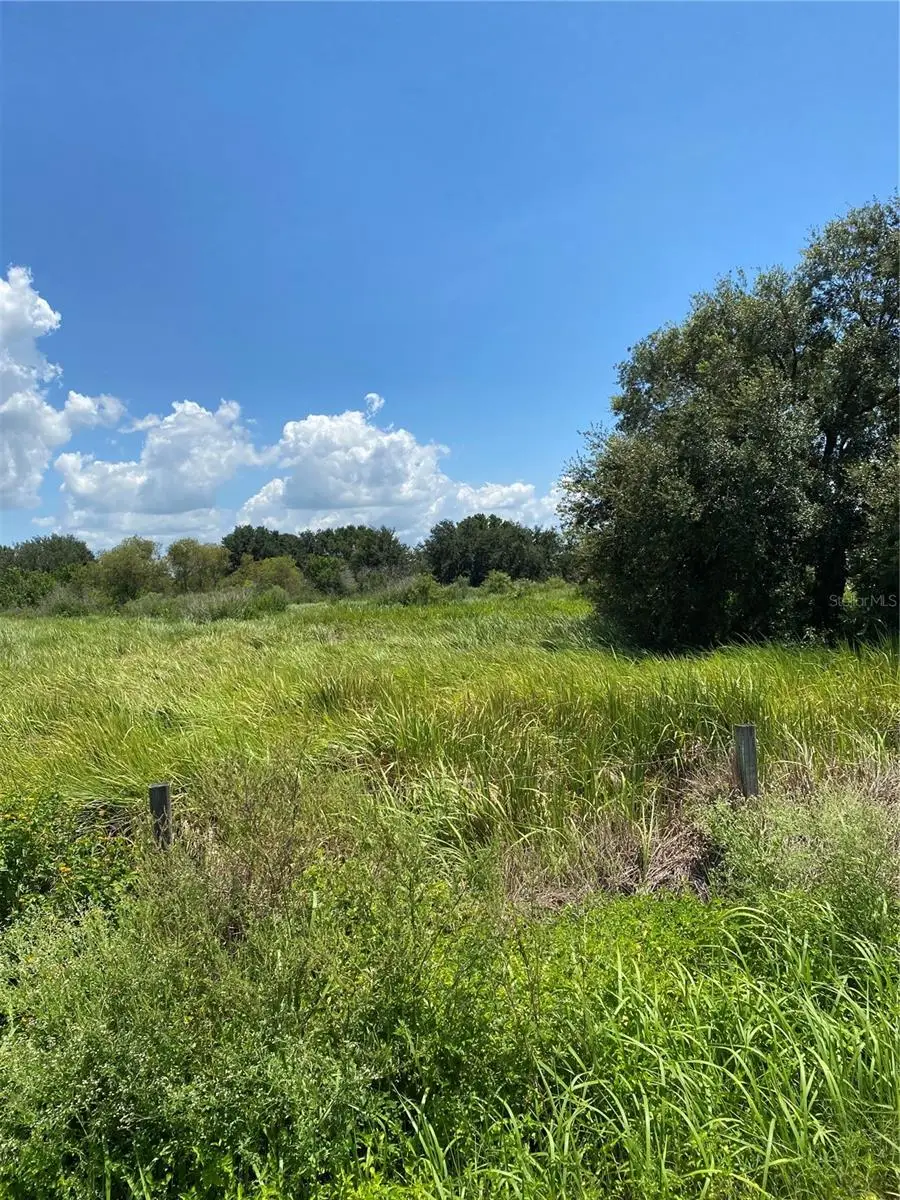 12532 Andrews Road, Wimauma, FL 33598 - #3