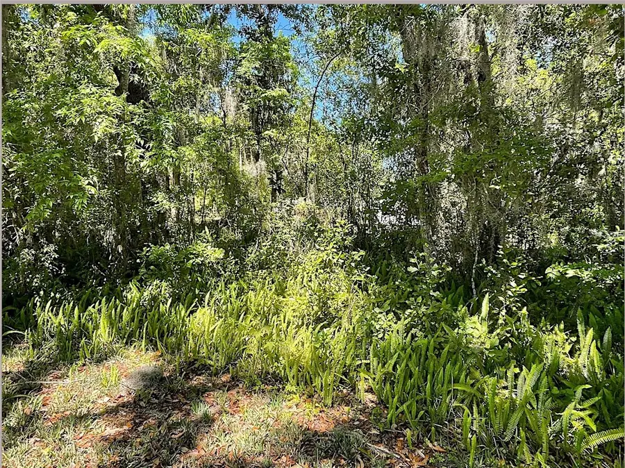 Union Street, Brooksville, FL 34601 - #2