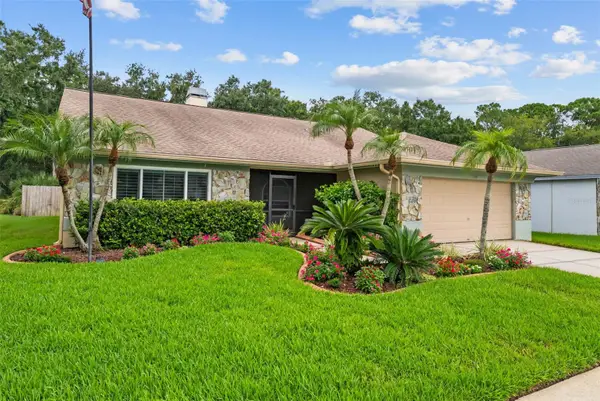 11910 Steppingstone Blvd Boulevard, TAMPA, FL 33635