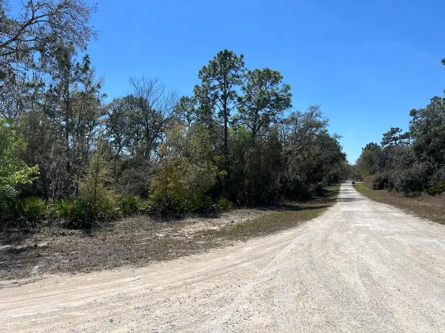 0 Northwest Avenue #Lot 32, Webster, FL 33597 - #3
