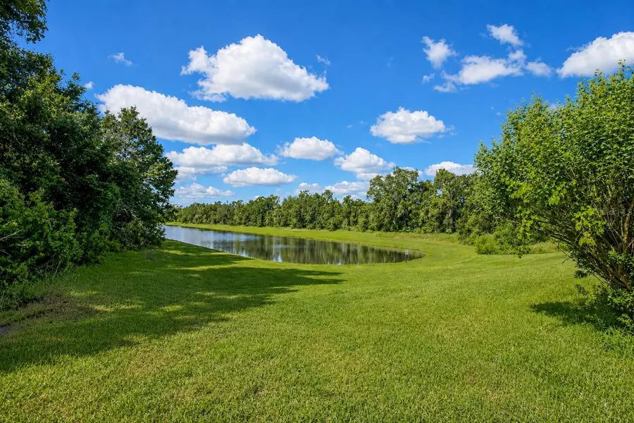 30801 Parrot Reef Court, Wesley Chapel, FL 33545 - #3