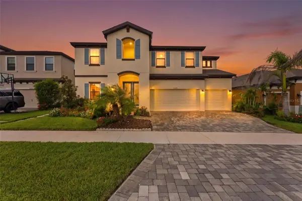 13249 Wildflower Meadow Drive, RIVERVIEW, FL 33579