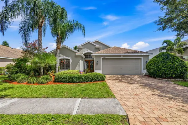 10331 Lightner Bridge Drive, TAMPA, FL 33626