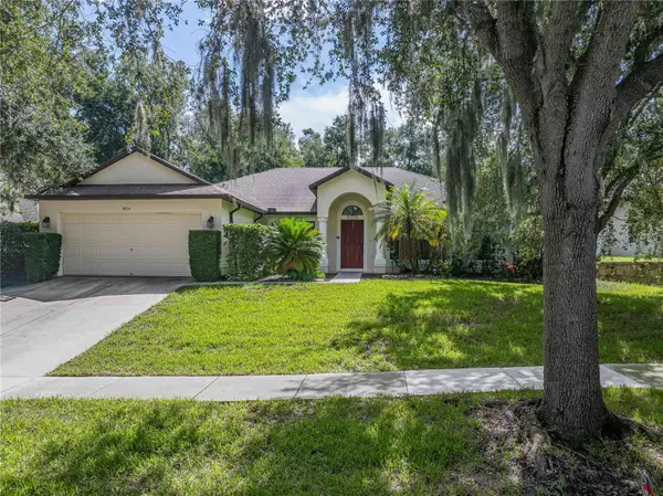 8834 Alafia Cove Drive, RIVERVIEW, FL 33569
