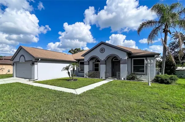 4209 Amber Ridge Lane, VALRICO, FL 33594