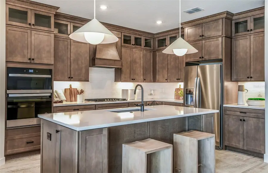 33406 Herds Hallow Way, Wesley Chapel, FL 33545 - #2